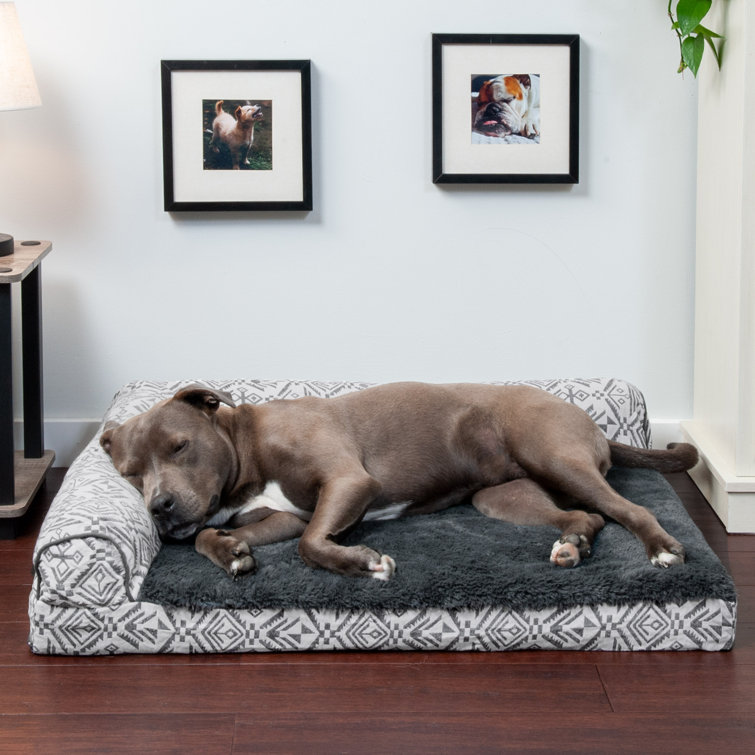 Dog chaise outlet lounger